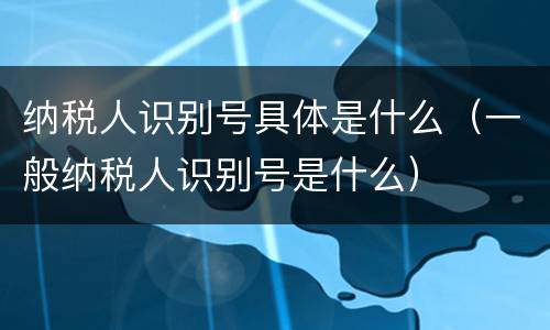 纳税人识别号具体是什么（一般纳税人识别号是什么）