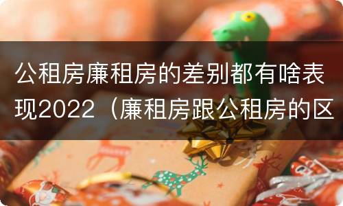 公租房廉租房的差别都有啥表现2022（廉租房跟公租房的区别）