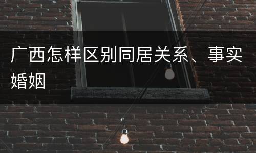 广西怎样区别同居关系、事实婚姻