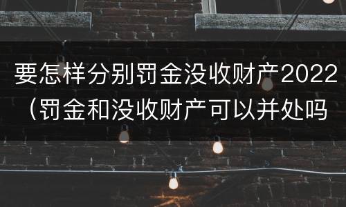 要怎样分别罚金没收财产2022（罚金和没收财产可以并处吗）