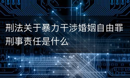刑法关于暴力干涉婚姻自由罪刑事责任是什么