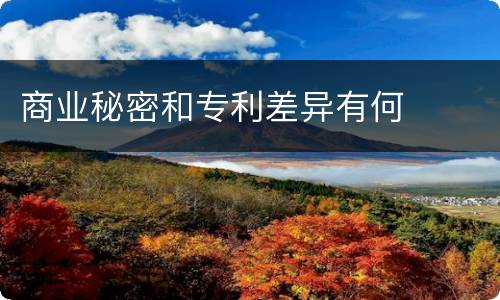 商业秘密和专利差异有何