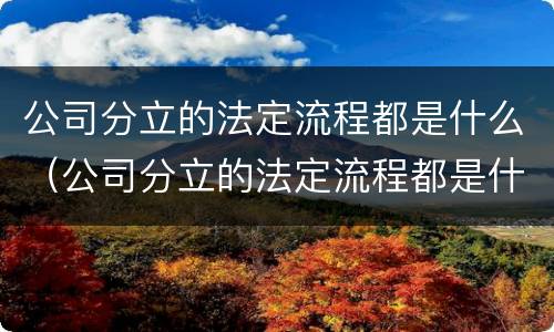 公司分立的法定流程都是什么（公司分立的法定流程都是什么流程）