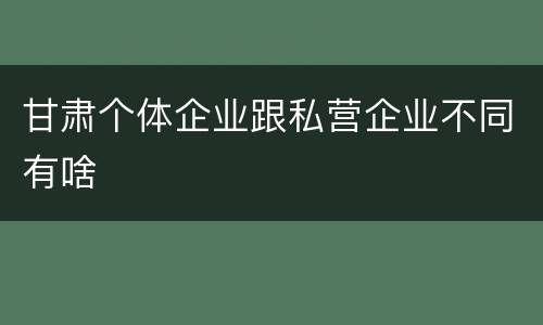 甘肃个体企业跟私营企业不同有啥