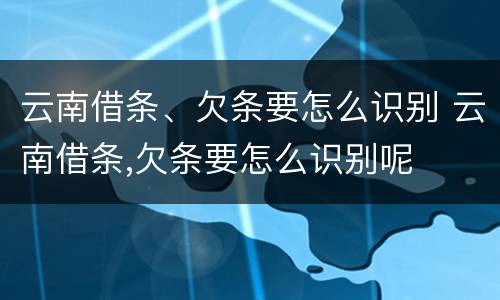 云南借条、欠条要怎么识别 云南借条,欠条要怎么识别呢