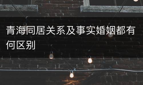 青海同居关系及事实婚姻都有何区别