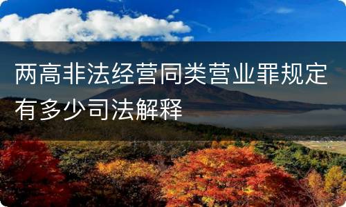 两高非法经营同类营业罪规定有多少司法解释