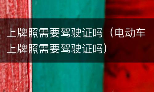 上牌照需要驾驶证吗（电动车上牌照需要驾驶证吗）