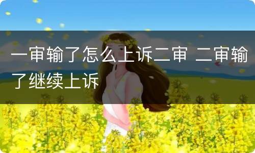 一审输了怎么上诉二审 二审输了继续上诉