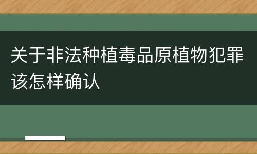关于非法种植毒品原植物犯罪该怎样确认