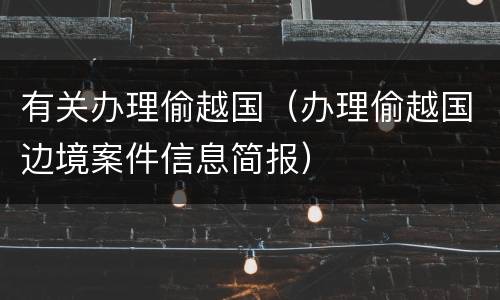 有关办理偷越国（办理偷越国边境案件信息简报）