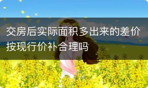 交房后实际面积多出来的差价按现行价补合理吗