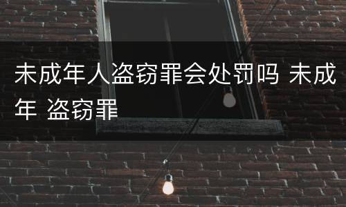 未成年人盗窃罪会处罚吗 未成年 盗窃罪