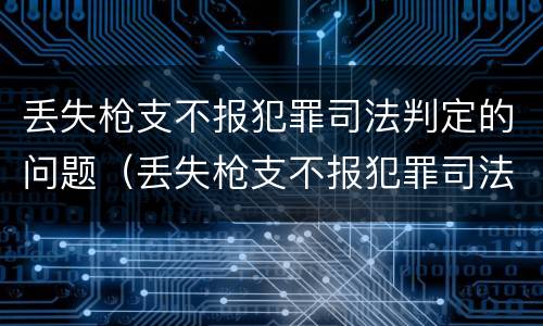 丢失枪支不报犯罪司法判定的问题（丢失枪支不报犯罪司法判定的问题是）