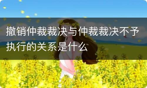 撤销仲裁裁决与仲裁裁决不予执行的关系是什么