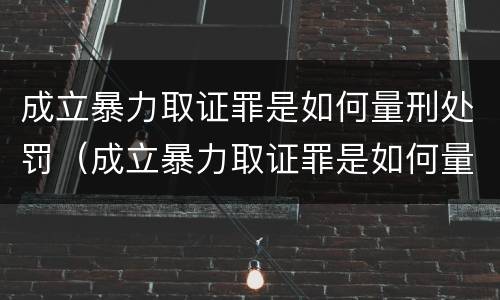成立暴力取证罪是如何量刑处罚（成立暴力取证罪是如何量刑处罚的）