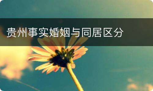 贵州事实婚姻与同居区分