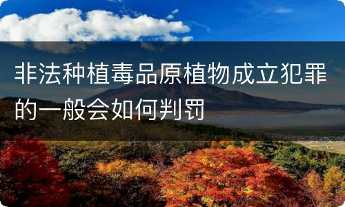 非法种植毒品原植物成立犯罪的一般会如何判罚