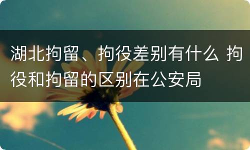 湖北拘留、拘役差别有什么 拘役和拘留的区别在公安局