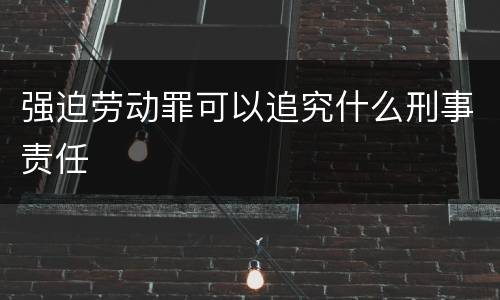 强迫劳动罪可以追究什么刑事责任