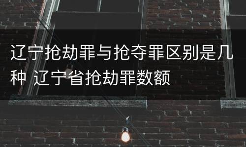 辽宁抢劫罪与抢夺罪区别是几种 辽宁省抢劫罪数额