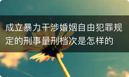 成立暴力干涉婚姻自由犯罪规定的刑事量刑档次是怎样的