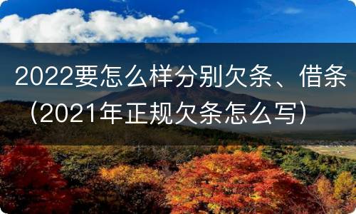 2022要怎么样分别欠条、借条（2021年正规欠条怎么写）