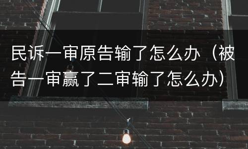 民诉一审原告输了怎么办（被告一审赢了二审输了怎么办）