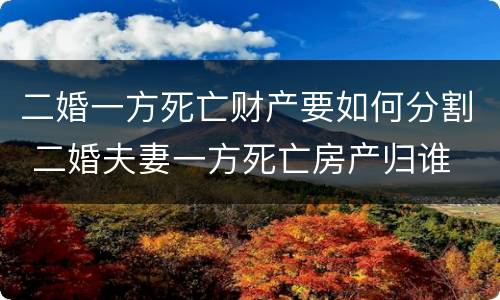二婚一方死亡财产要如何分割 二婚夫妻一方死亡房产归谁