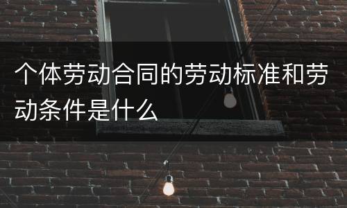 个体劳动合同的劳动标准和劳动条件是什么