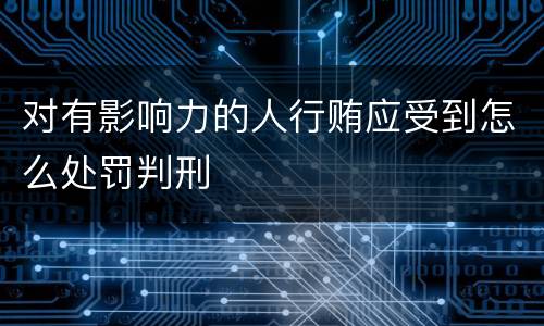 对有影响力的人行贿应受到怎么处罚判刑