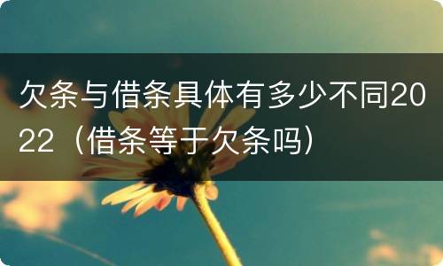 欠条与借条具体有多少不同2022（借条等于欠条吗）