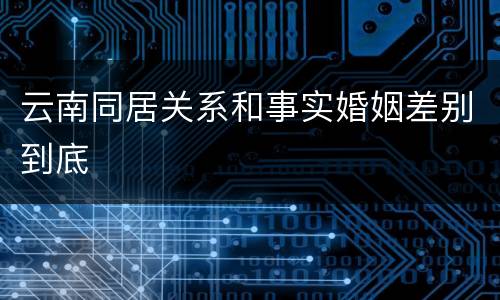 云南同居关系和事实婚姻差别到底