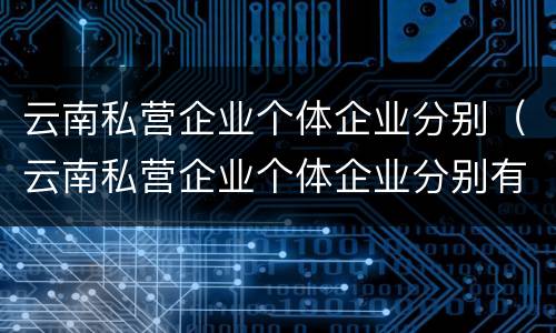云南私营企业个体企业分别（云南私营企业个体企业分别有多少）