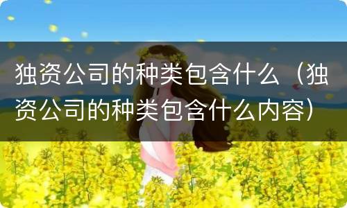 独资公司的种类包含什么（独资公司的种类包含什么内容）
