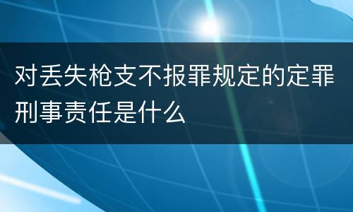 对丢失枪支不报罪规定的定罪刑事责任是什么