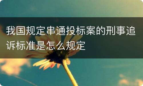 我国规定串通投标案的刑事追诉标准是怎么规定