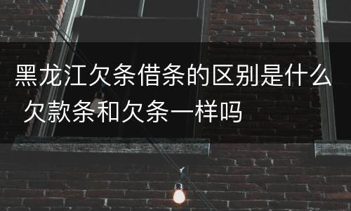 黑龙江欠条借条的区别是什么 欠款条和欠条一样吗