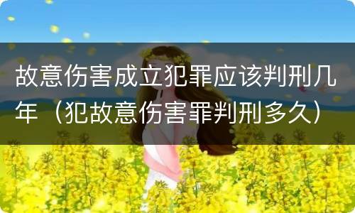 故意伤害成立犯罪应该判刑几年（犯故意伤害罪判刑多久）