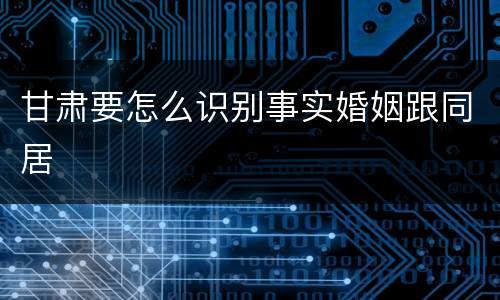 甘肃要怎么识别事实婚姻跟同居