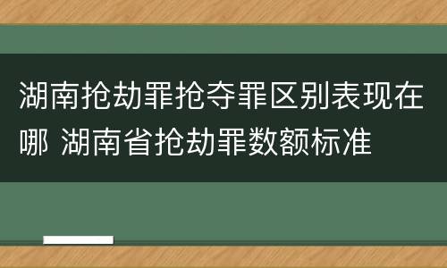 湖南抢劫罪抢夺罪区别表现在哪 湖南省抢劫罪数额标准