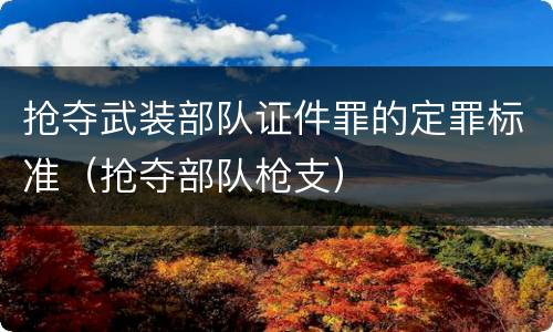 抢夺武装部队证件罪的定罪标准（抢夺部队枪支）