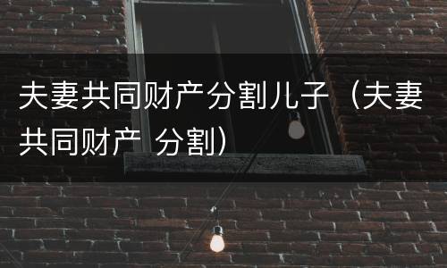 夫妻共同财产分割儿子（夫妻共同财产 分割）