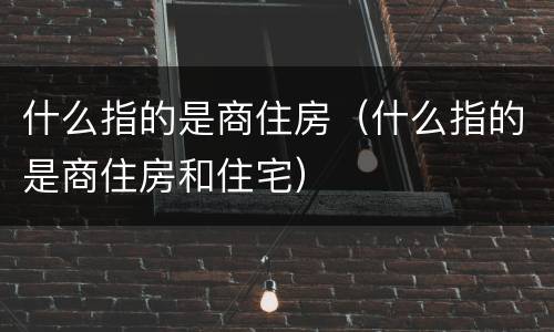 什么指的是商住房（什么指的是商住房和住宅）