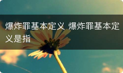 爆炸罪基本定义 爆炸罪基本定义是指