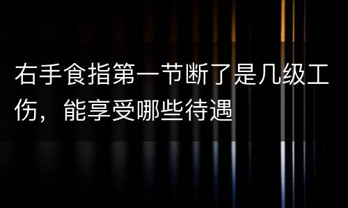 右手食指第一节断了是几级工伤，能享受哪些待遇