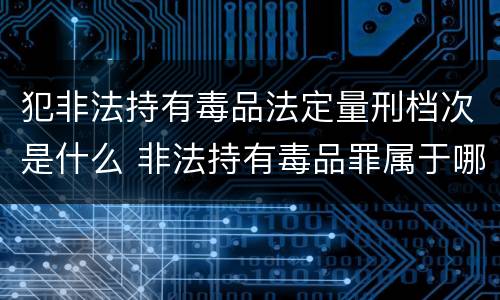 犯非法持有毒品法定量刑档次是什么 非法持有毒品罪属于哪一类