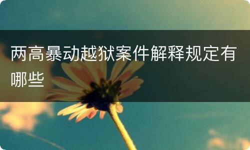 两高暴动越狱案件解释规定有哪些