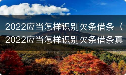 2022应当怎样识别欠条借条（2022应当怎样识别欠条借条真假）