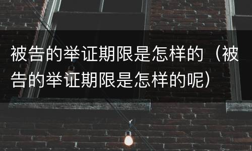 被告的举证期限是怎样的（被告的举证期限是怎样的呢）